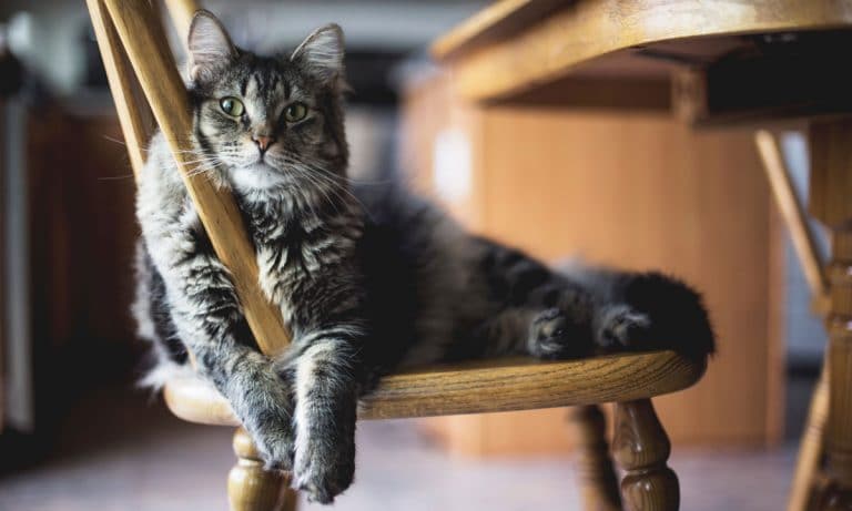 Facebook Is The Reason This NPR Employee Is In Big Trouble