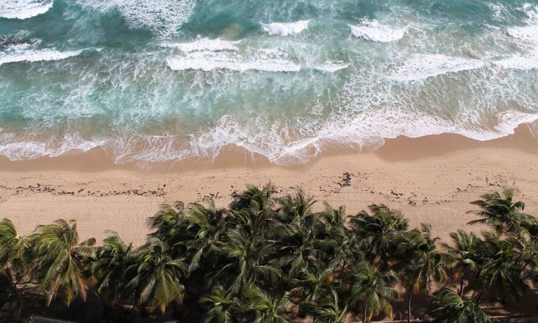 Puerto Rico’s Cannabis Industry Appraises Damage Done By Hurricane Maria