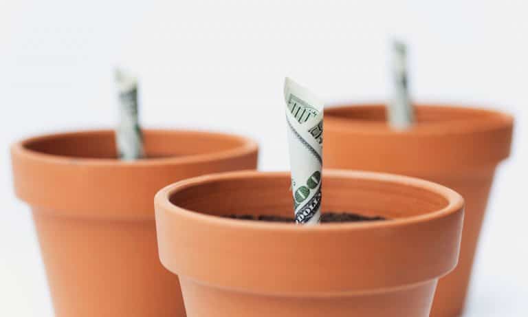 Cannabis Company Receives Big Investment From Snoop Dogg