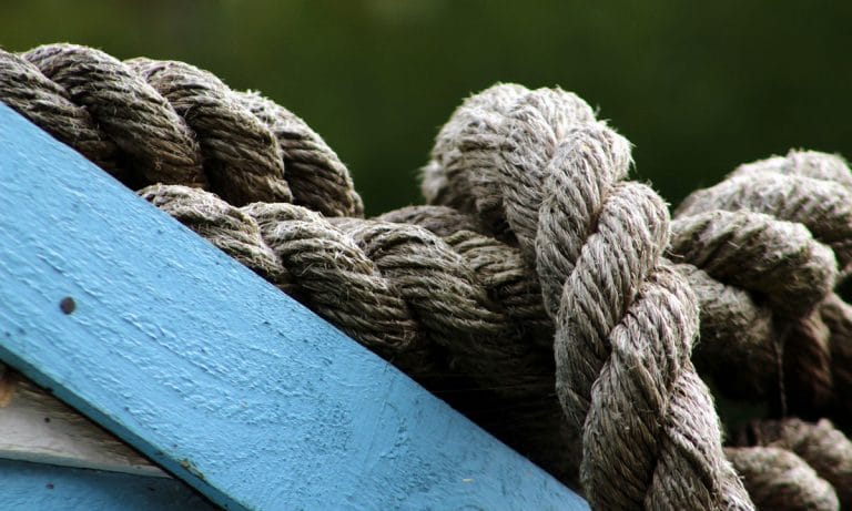 So Wisconsin Gov. Walker Just Evoked The ‘Gateway Theory’ For Hemp