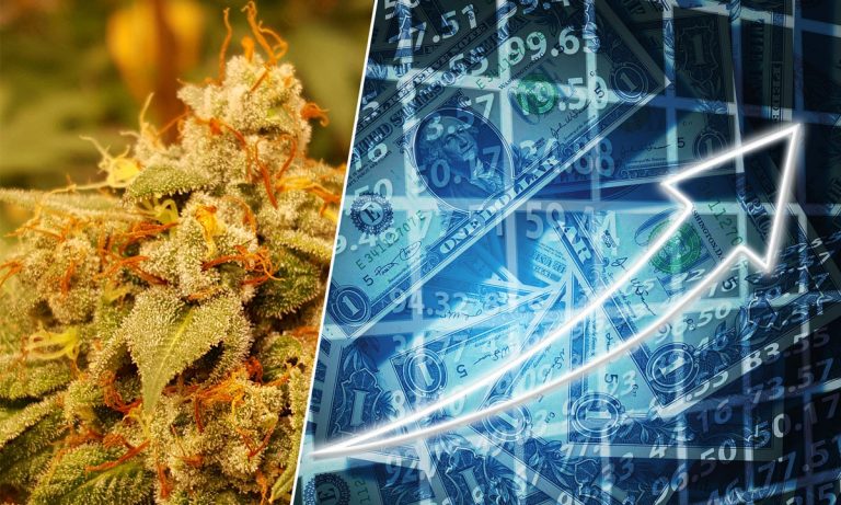 Here’s An Interesting Marijuana Stock To Watch In 2018