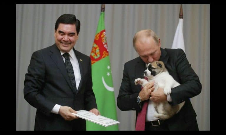 5 Times Vladimir Putin Was Upstaged By Cute Puppies