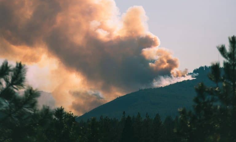 What Has California’s Epic Wildfire Season Done To Marijuana?