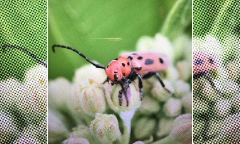 What Your Instagram Posts Say About Your Personality