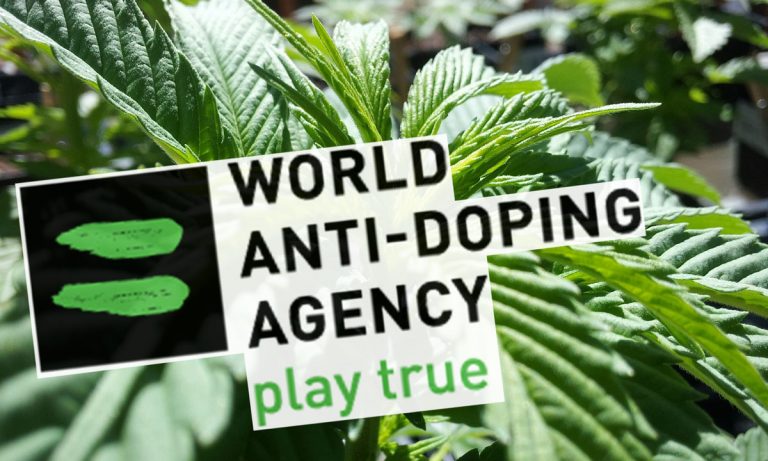 Progress: World Doping Agency Will No Longer Ban CBD