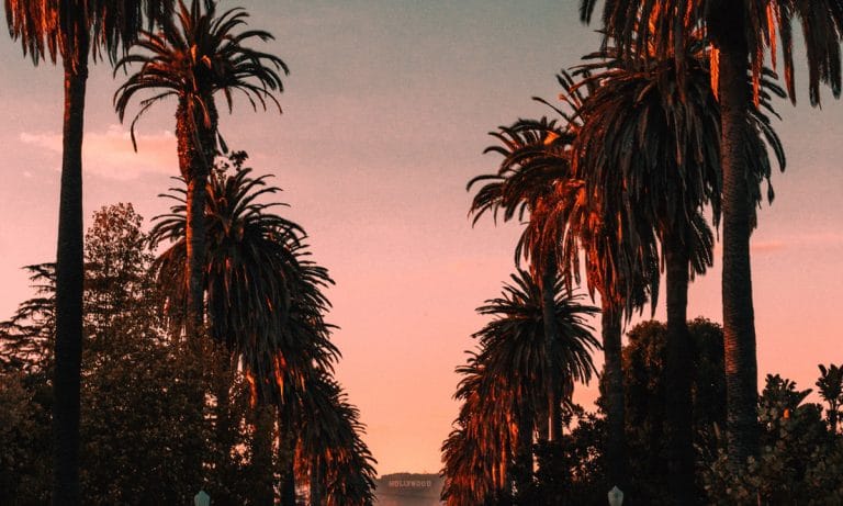 $5 Billion In California Cannabis Revenue But No Place To Deposit It