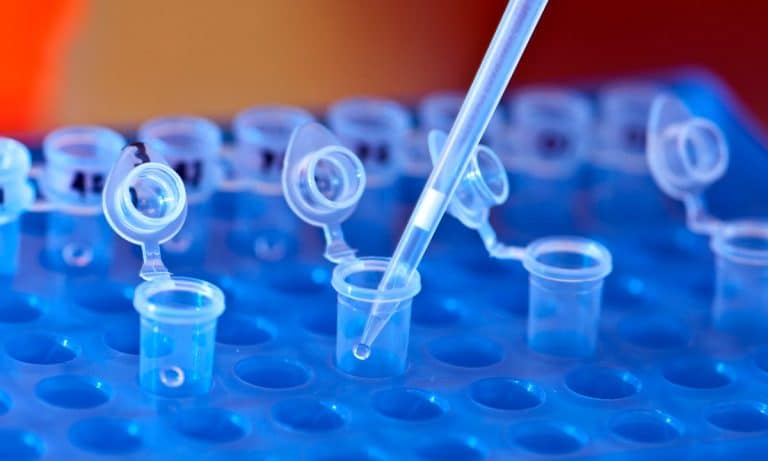 How Much Do We Know About Weed? Scientists Mapping Cannabis DNA