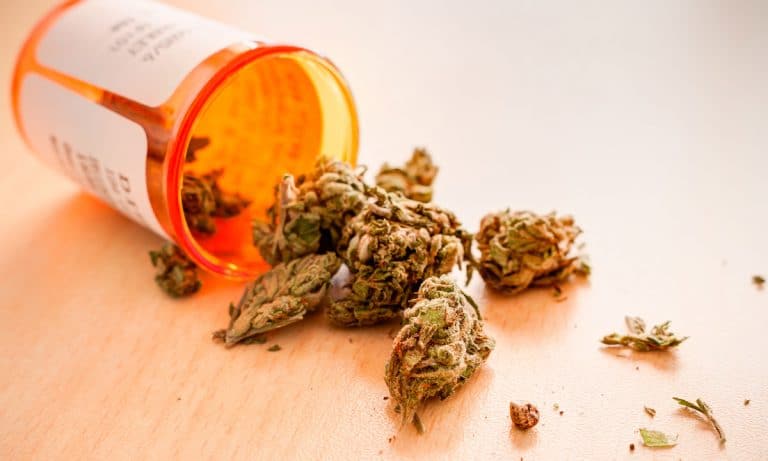 Dudes Keep Calling This Pennsylvania Gyno To Acquire Medical Marijuana