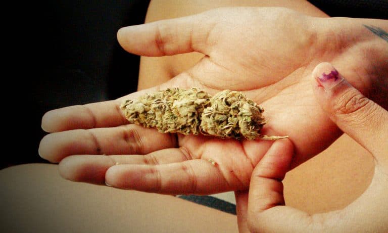 This Is How Much It Pays To Know Your Cannabis Science