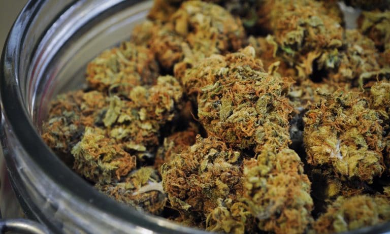 Maine Governor Paul LePage Just Vetoed Legal Marijuana