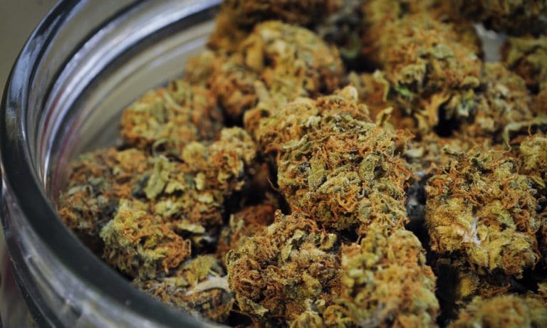 Maryland’s Cannabis Dispensaries Are Finally Set To Open