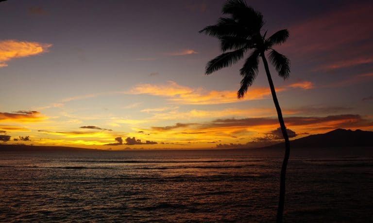 Why Medical Marijuana Patients In Hawaii Can’t Own A Gun