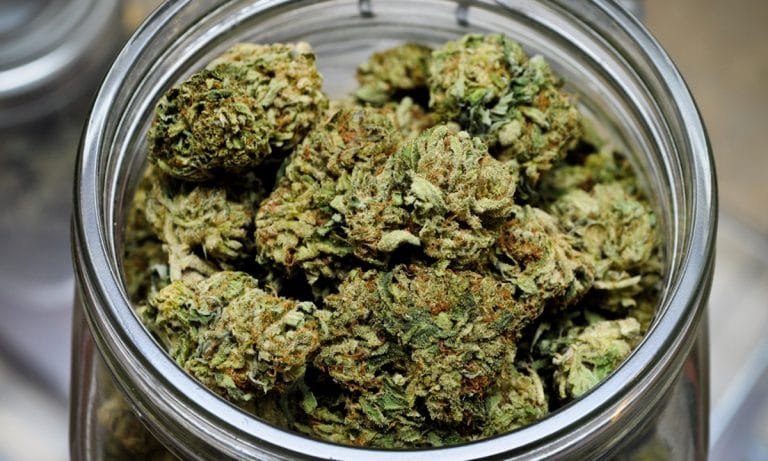 People In Michigan Camped Out For Marijuana Dispensary Licenses