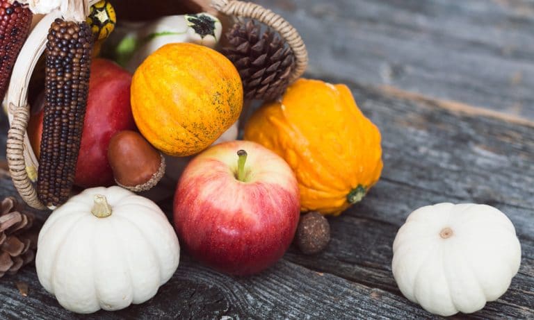 Post-Thanksgiving Meals: 5 Recipes to Use Turkey Leftovers