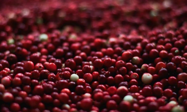 Everyone’s Happy: Thanksgiving Cranberry Sauce 4 Ways