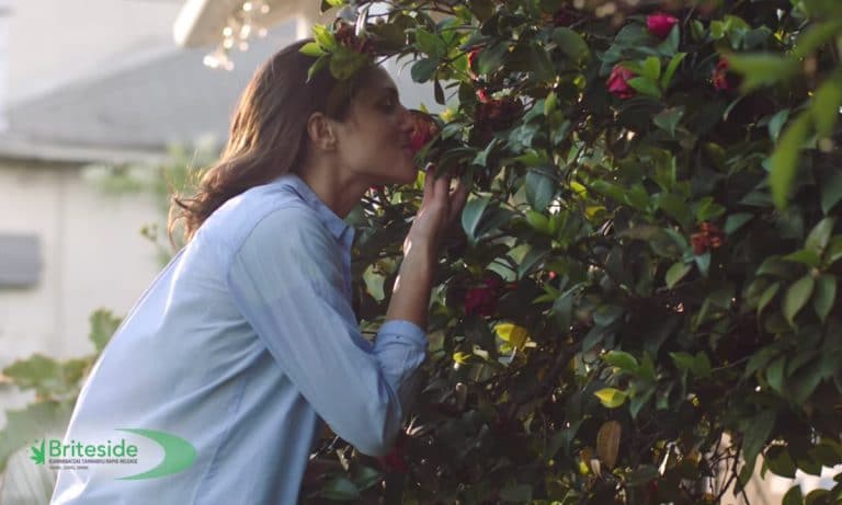 Watch This Weed Company Spoof Awkward Prescription TV Ads