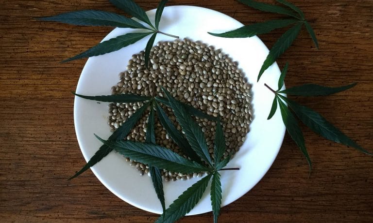 9 Extraordinary Health Benefits Of Totally-Legal Hemp Seeds