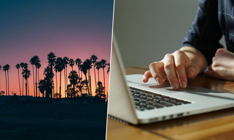 California Issuing Cannabis Business Licenses Online