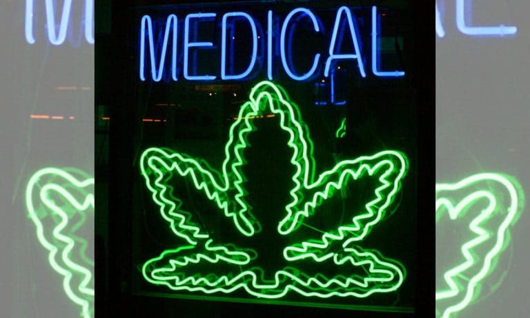 Cannabis Businesses Protected From Feds For Now