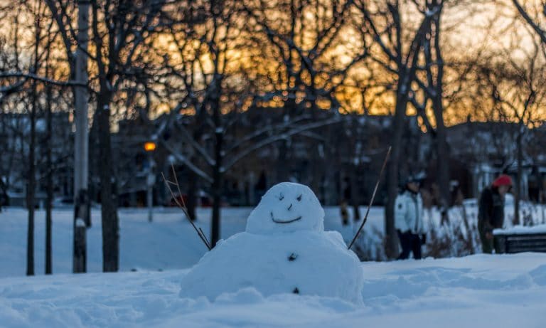 Forget Snowman: Build These 8 Snow Creatures This Winter
