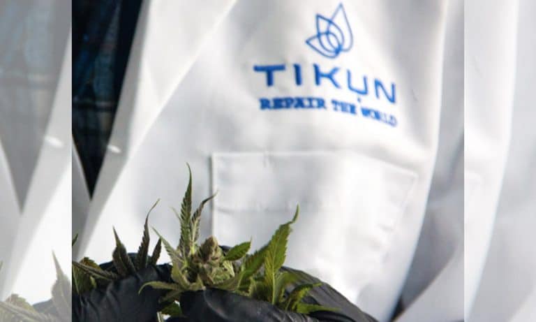 Leading Israeli Premium Cannabis Brand Coming To US