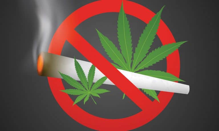 Meet The Special Interest Groups That Are Keeping Cannabis Illegal