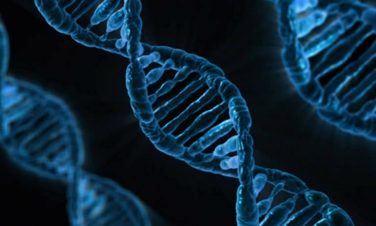 This New Dating App Uses DNA To Find Your Perfect Match