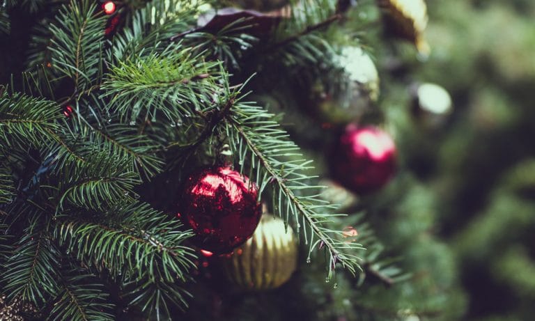 This Vibrator Bangs Out Merry Christmas Carols For Your Enjoyment