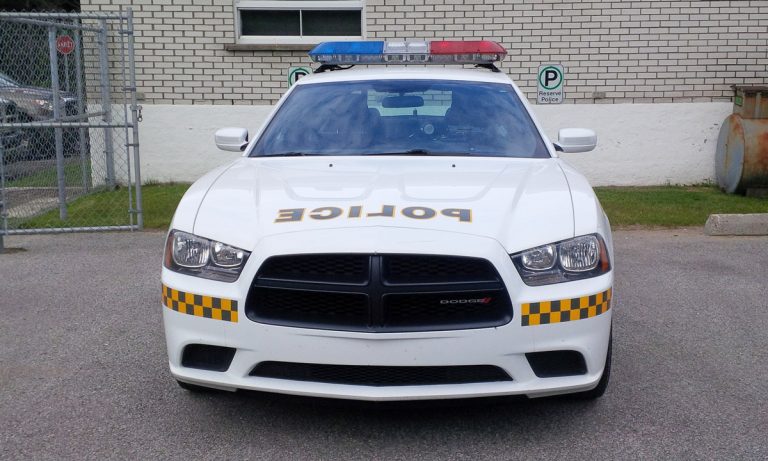 Canadian Cops Accidentally Eat Marijuana Edibles And Freak Out