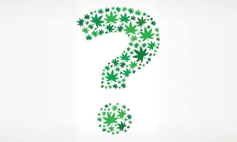 Let’s Talk About The Cloud Of Uncertainty That Hangs Over Cannabis