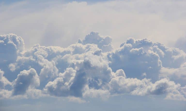 Cannabis Users Can’t Remember Their Dreams