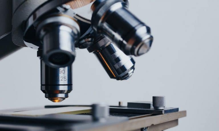 Strange Weather Killed Thousands Of Endangered Antelope