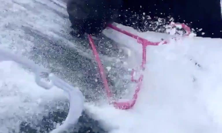 The 9 Ridiculous Ways Texans Are Battling Ice This Winter
