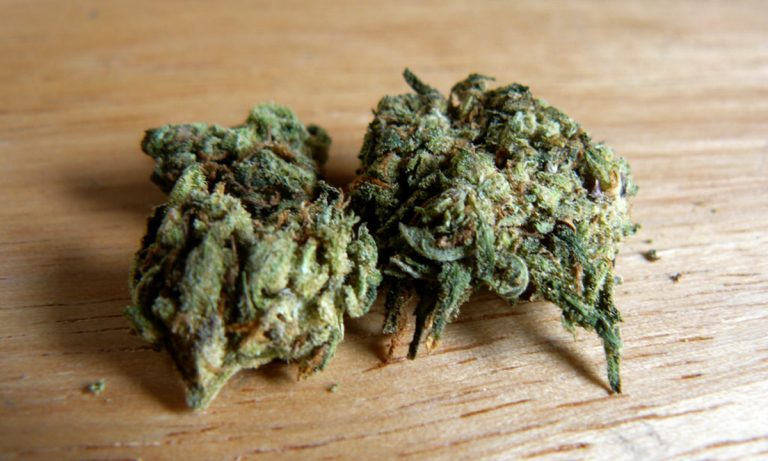 These Cities Consume The Most Marijuana In The World