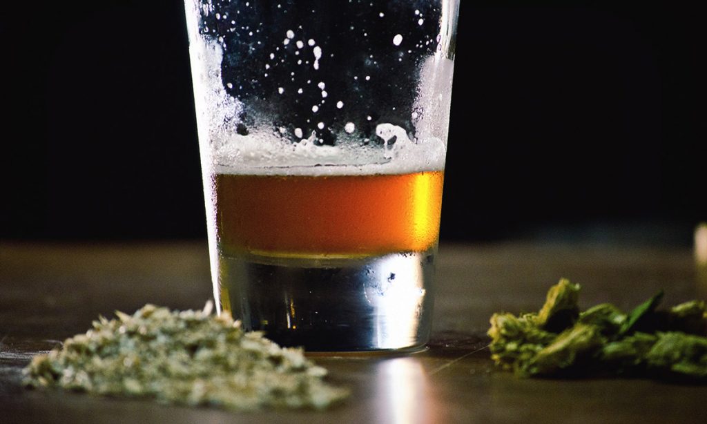 Brewers File Patent To Produce Beer Made Entirely From Marijuana