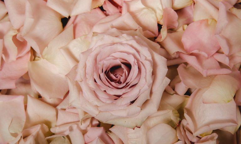 Couple’s Marijuana Wedding Included $8K Of Marijuana