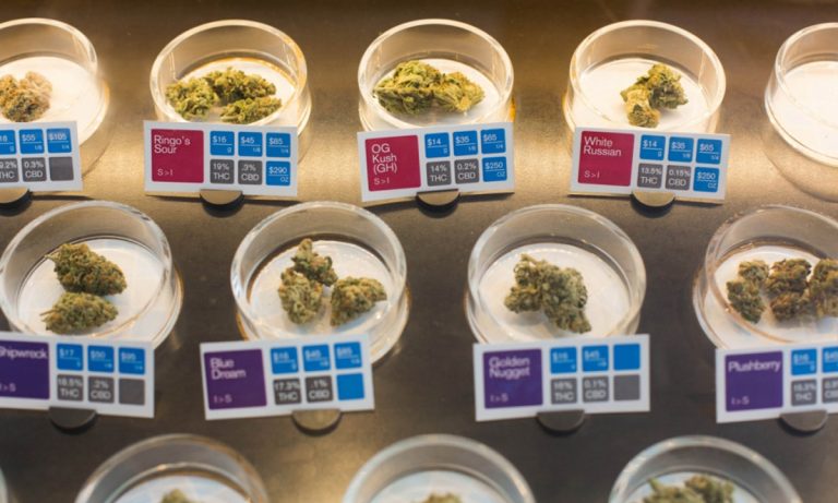 Federal Judge To Government: Marijuana Clearly Saves People’s Lives