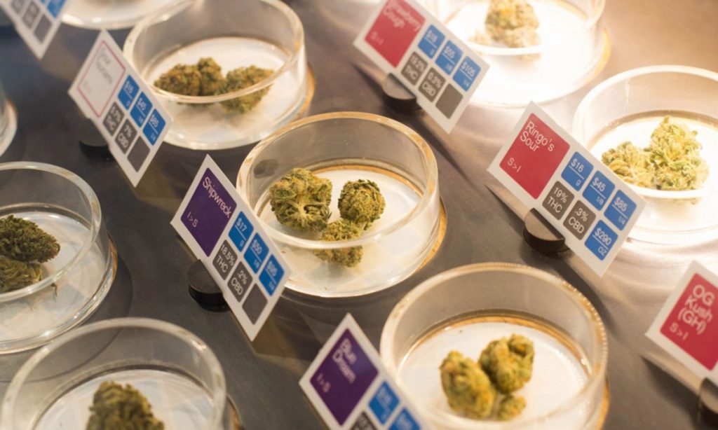 Differences In Marijuana Highs: Flowers, Edibles and Concentrates