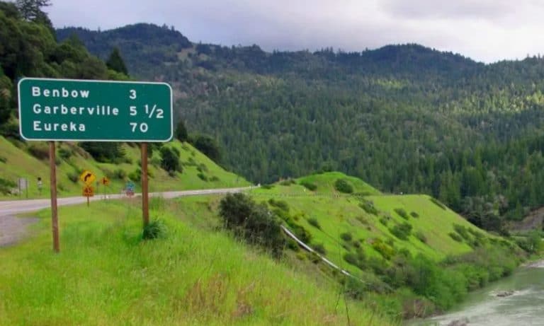 Green Rush Blues: California Cannabis After Legalization