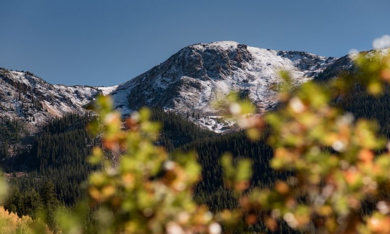 Aspen Is Selling More Marijuana Than Alcohol Right Now