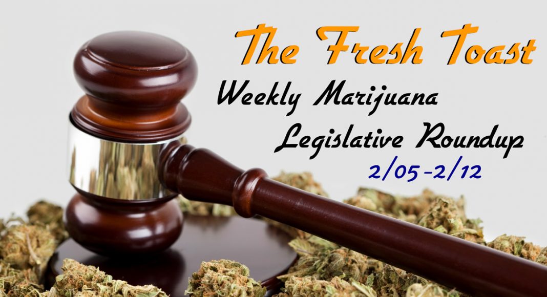 The Fresh Toast Marijuana Legislative Roundup: Feb. 12