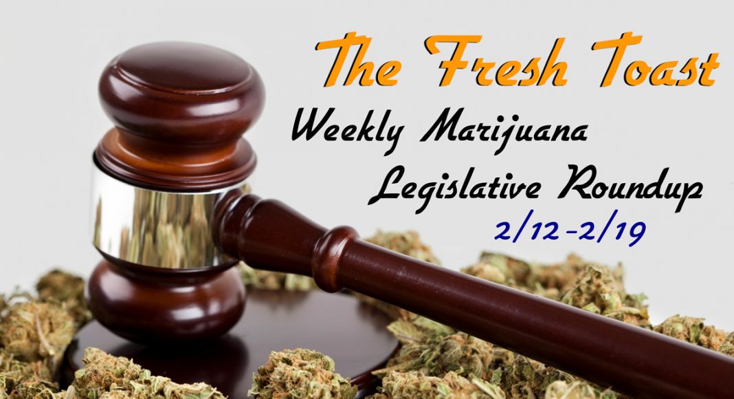 The Fresh Toast Marijuana Legislative Roundup: Feb. 19