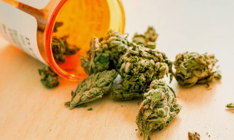 This 6-Year-Old Girl Is First Patient To Receive Medical Marijuana In Texas