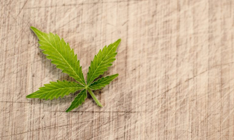 A Linguist’s View On The Way We Talk About Marijuana