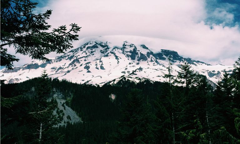 Washington State Gets Ready To Take On Feds Over Cannabis