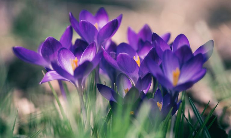 5 Spring Cleaning Hacks That Will Ready You For Warm Weather