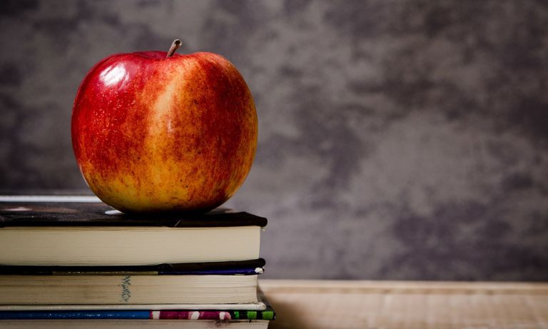 France Has Banned The Use Of Cellphones In Schools