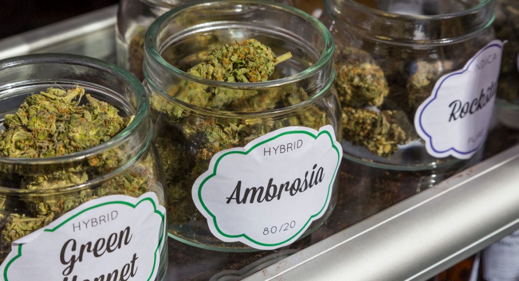 A Beginners Guide To Reading Marijuana Labels