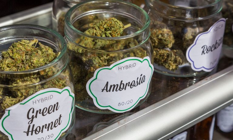 A Guide To Reading Marijuana Labels