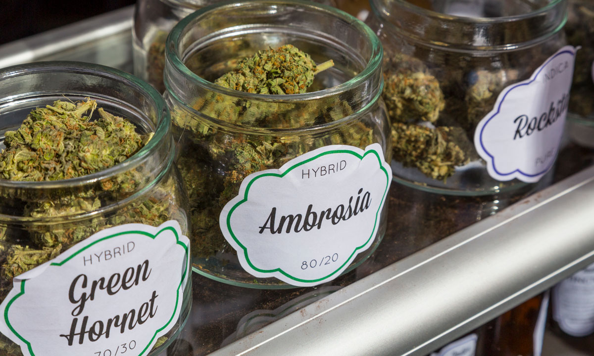 A Beginners Guide To Reading Marijuana Labels